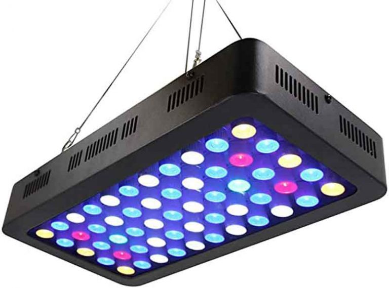 Peralatan Aquarium untuk Memelihara Ikan Hias Air Laut - Solahart Handal