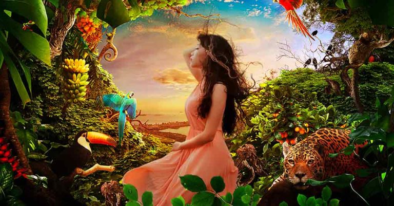 Impact of Human Interaction with the Natural Environment