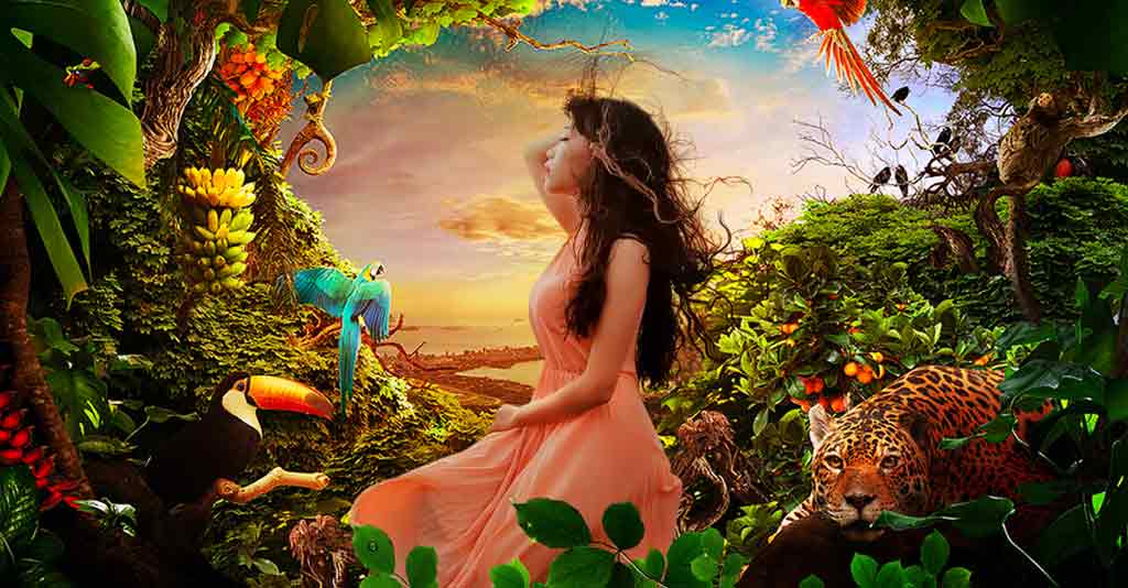 Impact of Human Interaction with the Natural Environment