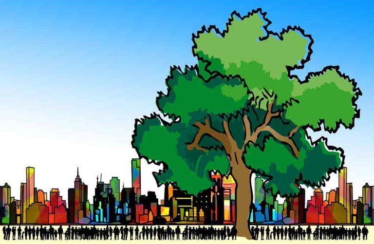 The Relationship Between Humans and the Natural Environment