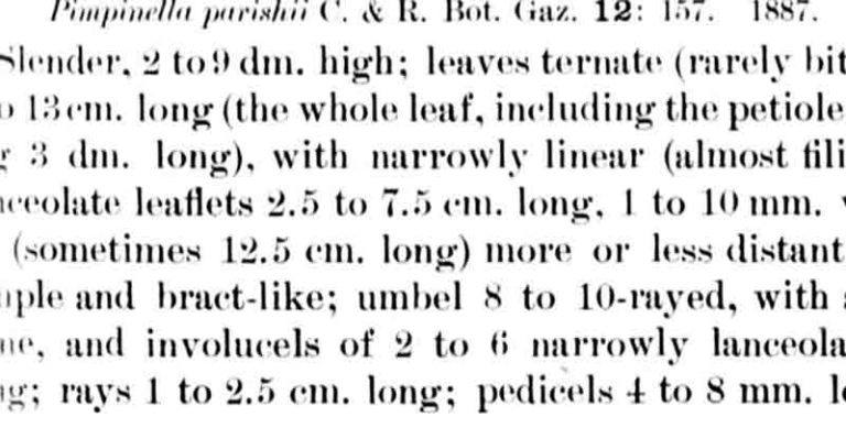 Example of a Monograph