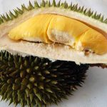 cara menanam durian bawor agar cepat berbuah