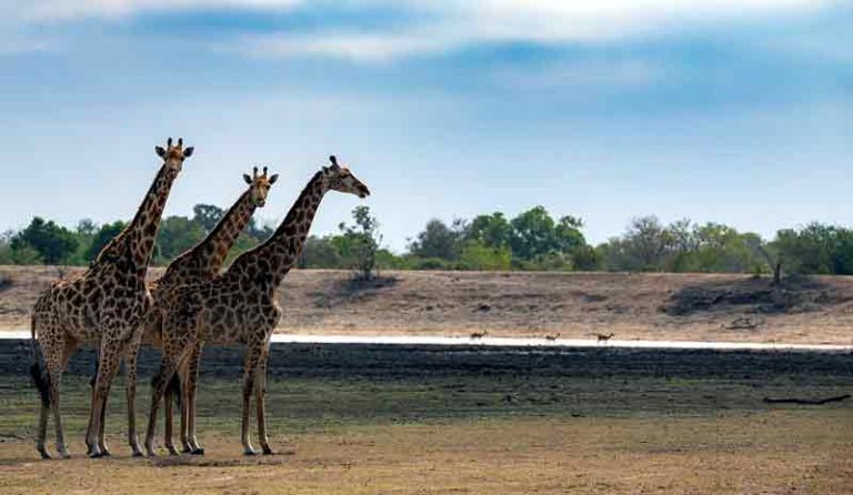 Tempat Wisata di Afrika Selatan