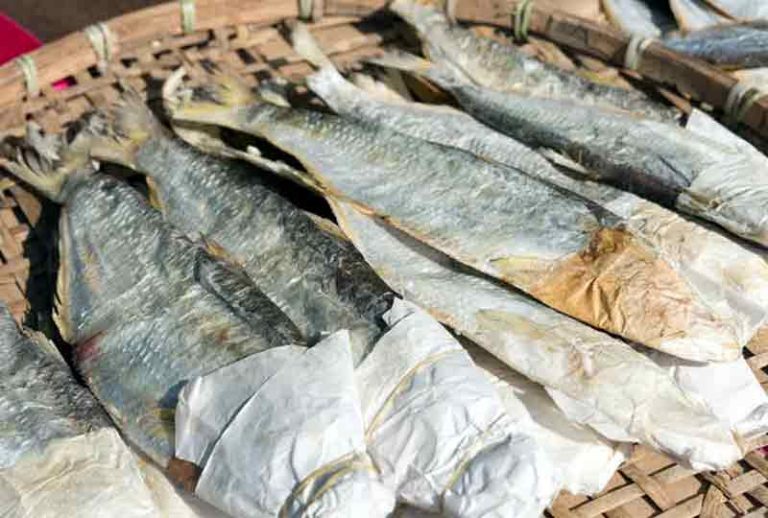 Apakah Ikan Asin Termasuk Produk Bioteknologi