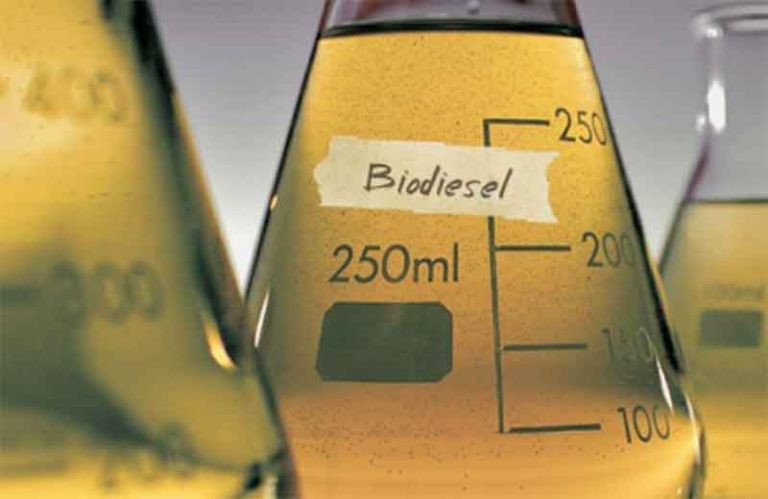 biodiesel merupakan sumber energi alternatif yang ramah lingkungan karena