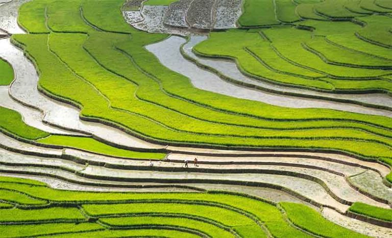 sistem pertanian agrikultur yang ramah lingkungan