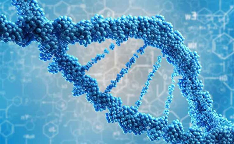 perbedaan bioteknologi konvensional dan modern