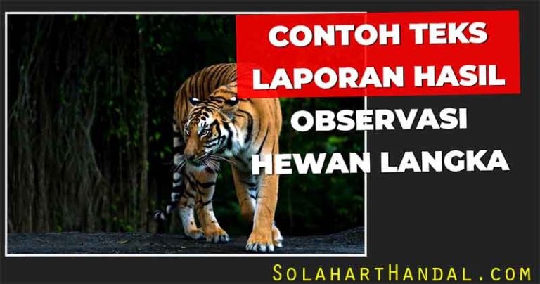 contoh teks laporan hasil observasi hewan langka