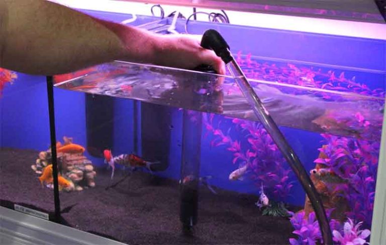 water change aquarium